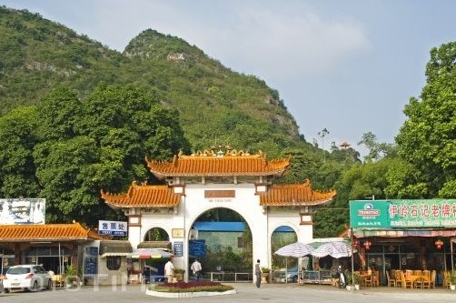 近年来,南宁市武鸣区通过乡村就地城镇化,乡村旅游特色化,美丽庭院